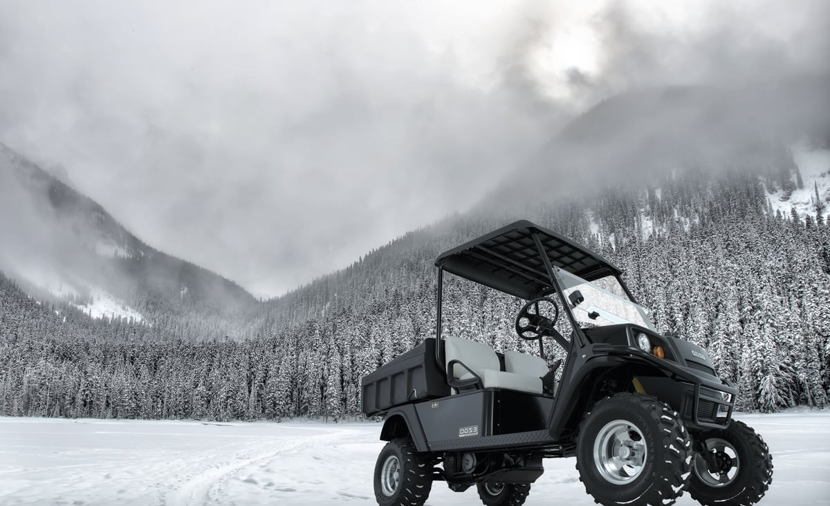 Think You Have to Stop Using Your Golf Cart in Winter? Think Again!